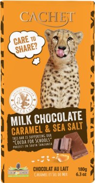 caramel-sea-salt-fun-bar-milk-chocolate